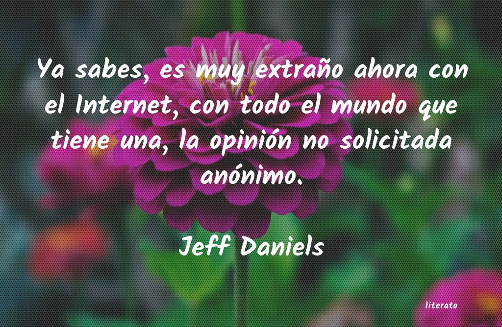 Frases de Jeff Daniels