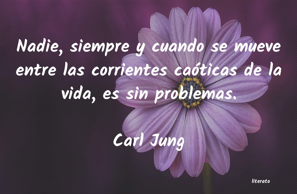 carl jung sentido
