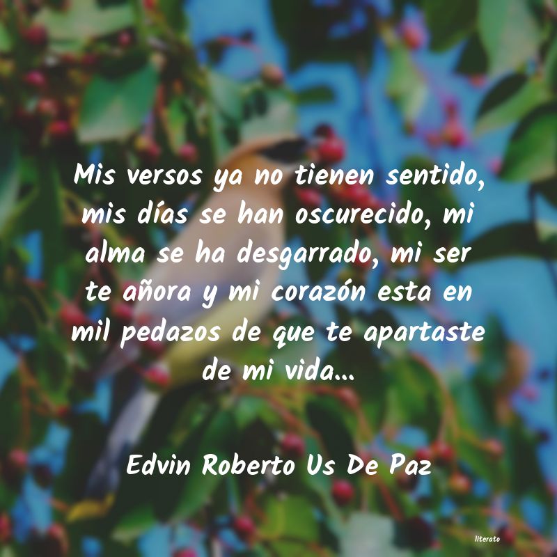 frases de Edvin Roberto Us De Paz