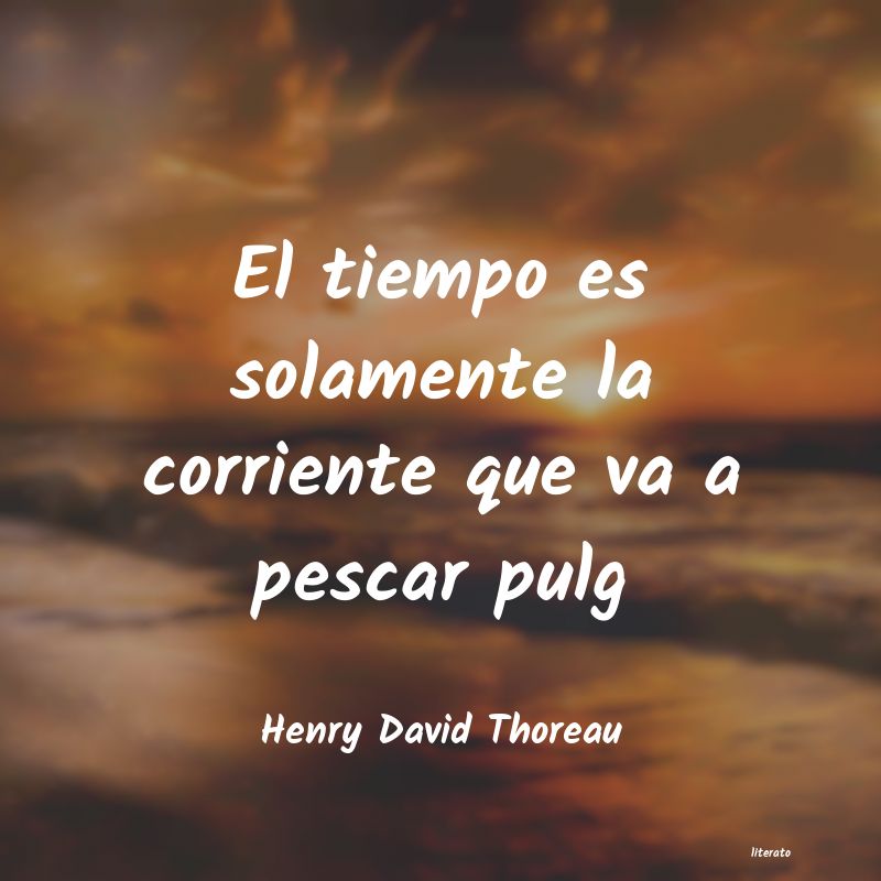 Frases de Henry David Thoreau