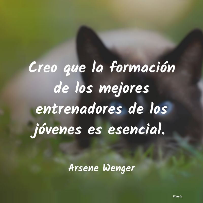 frases de Arsene Wenger