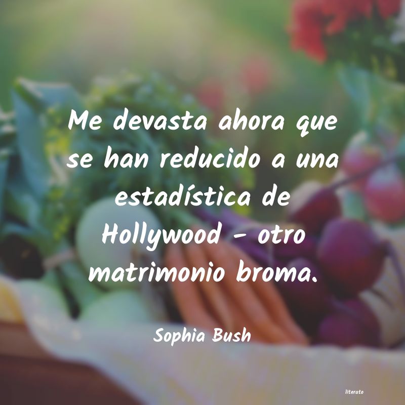 Frases de Sophia Bush