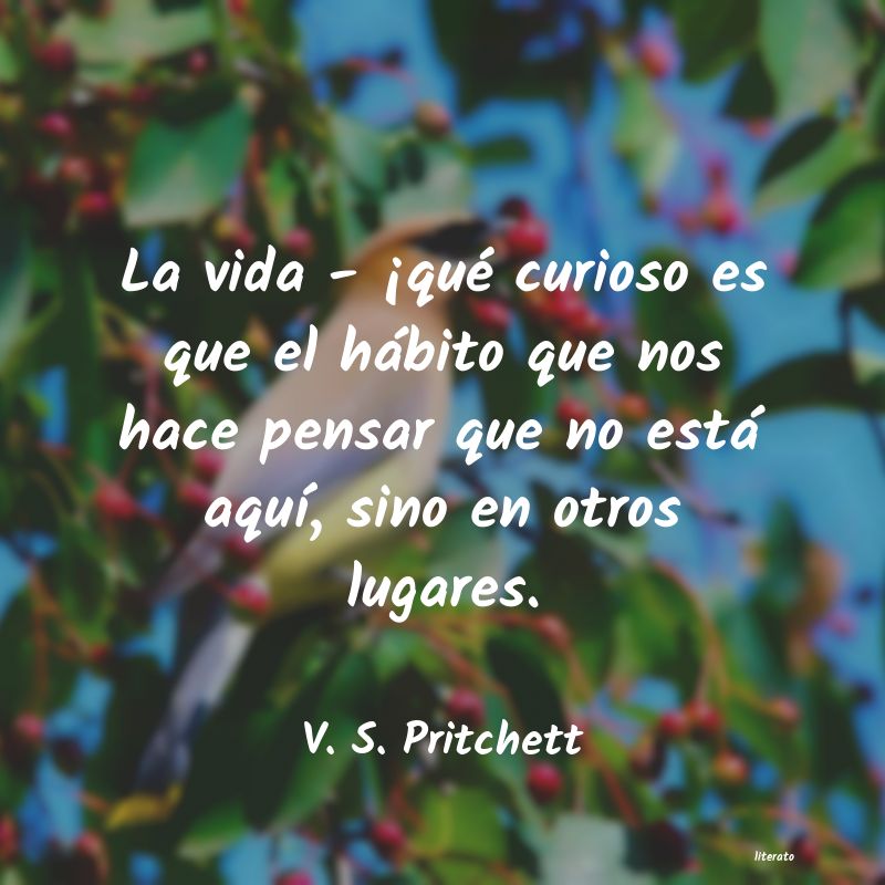 frases de V. S. Pritchett