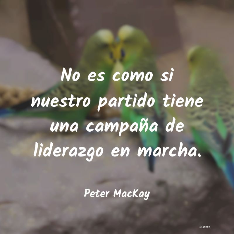 Frases de Peter MacKay
