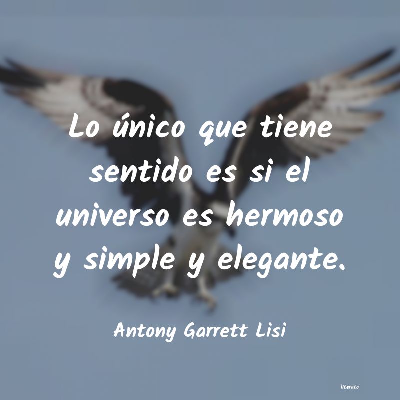 Frases de Antony Garrett Lisi