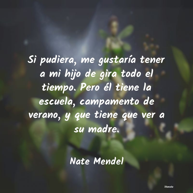 Frases de Nate Mendel