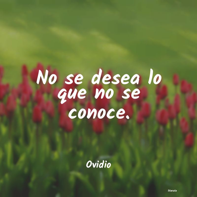 Frases de Ovidio