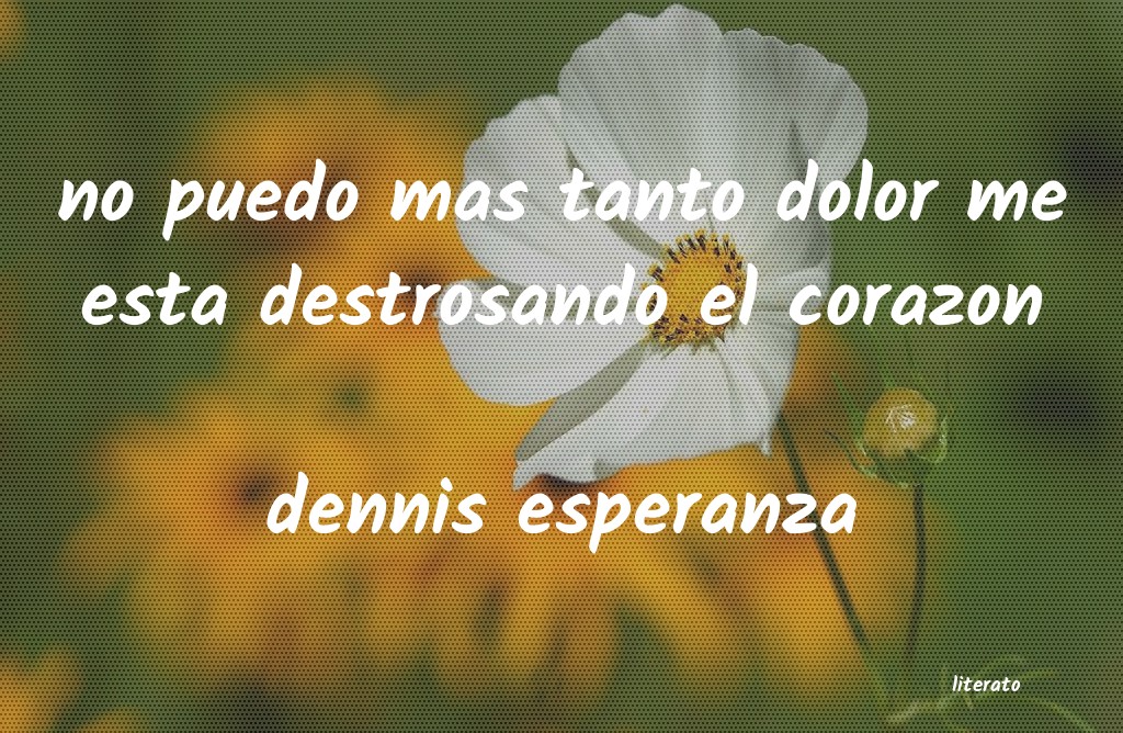 Frases de dennis esperanza