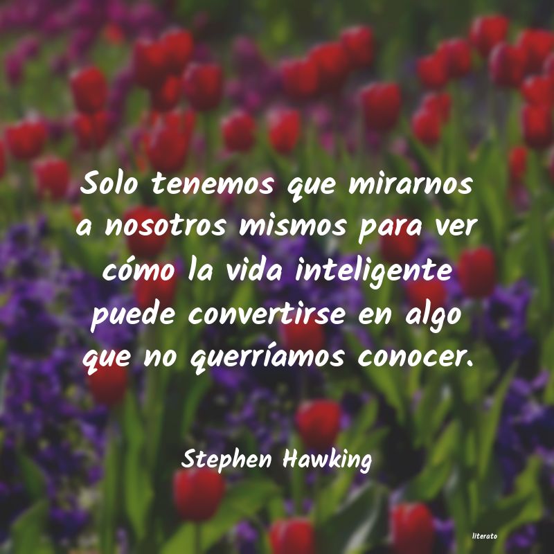 frases de Stephen Hawking