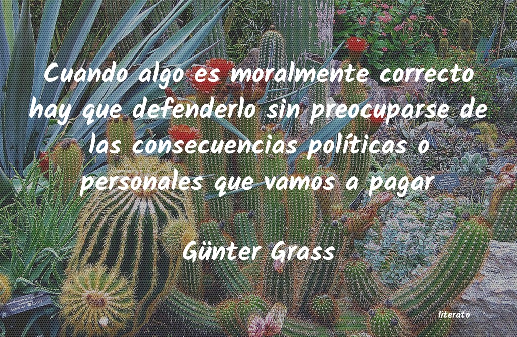 frases de Günter Grass