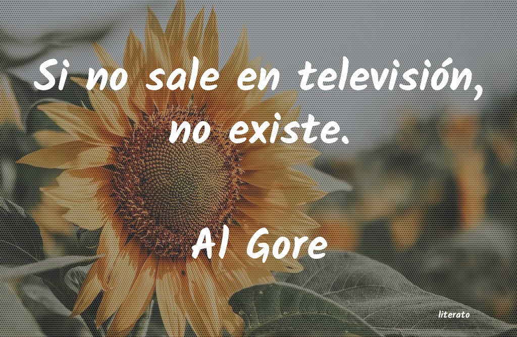 Frases de Al Gore