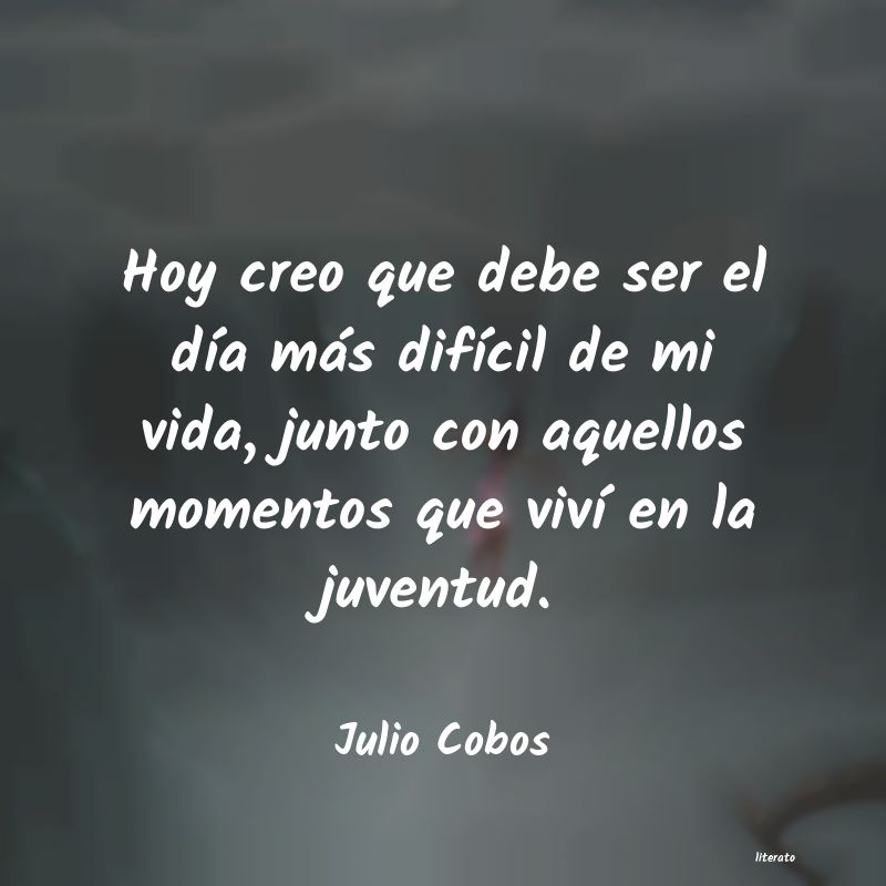 frases de Julio Cobos