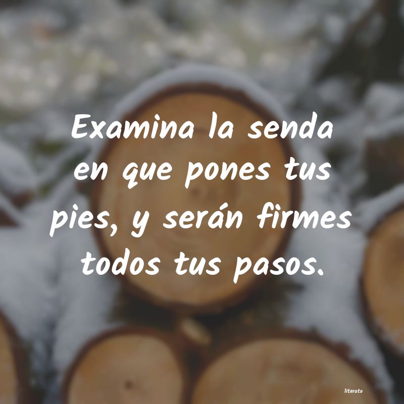 pasos firmes frases