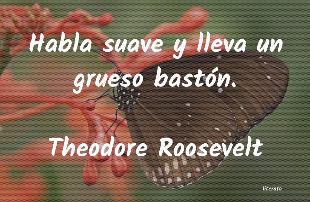 frases de Theodore Roosevelt