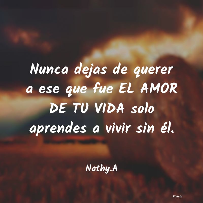 Frases de Nathy.A