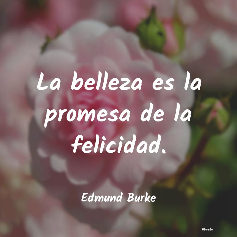 Frases de Edmund Burke