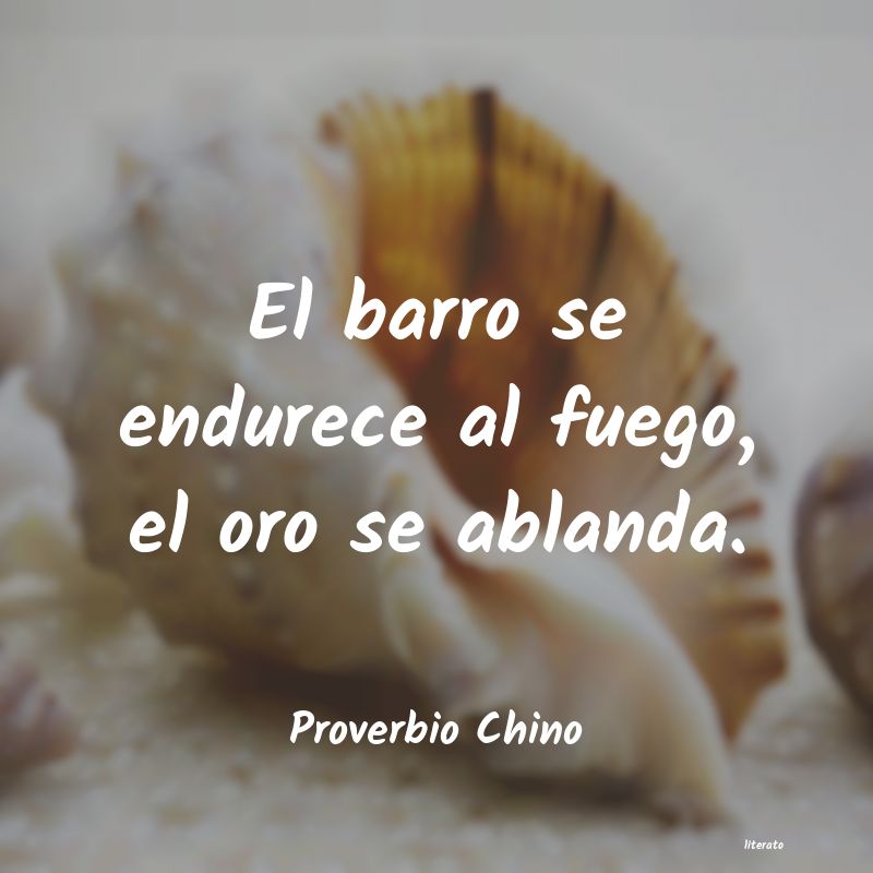 Frases de Proverbio Chino