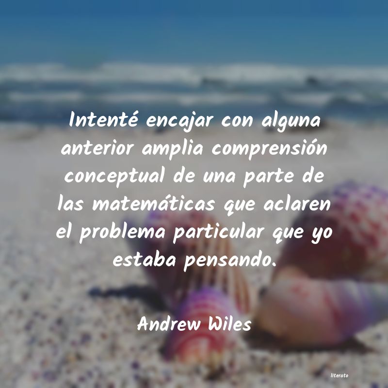 Frases de Andrew Wiles