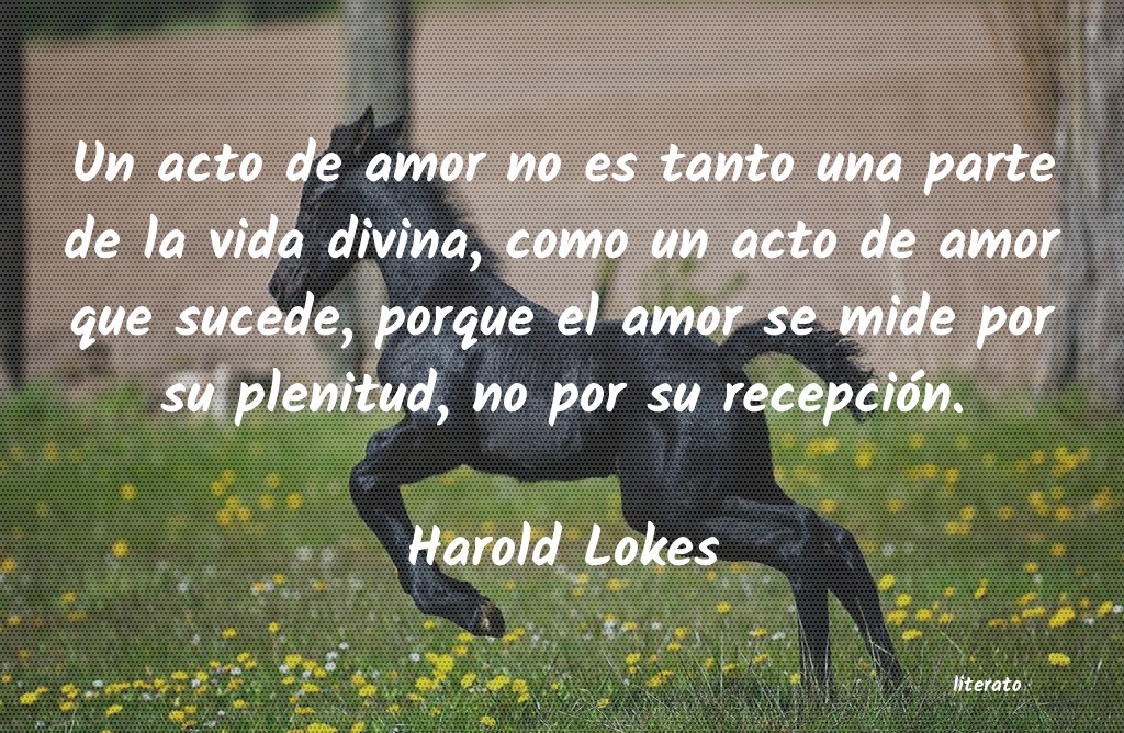 Frases de Harold Lokes