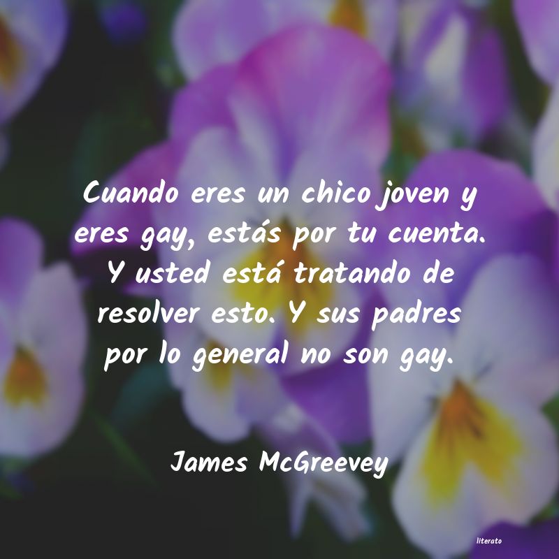 Frases de James McGreevey