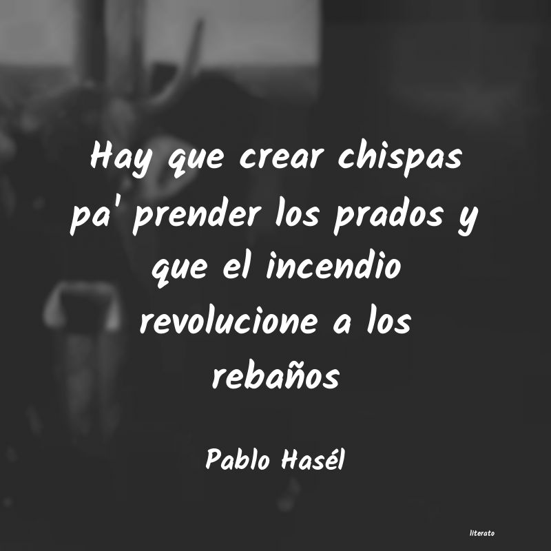 Frases de Pablo Hasél