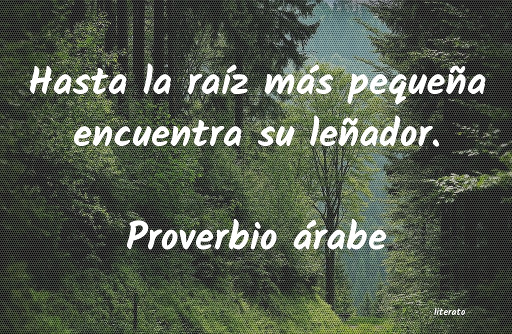 Frases de Proverbio árabe