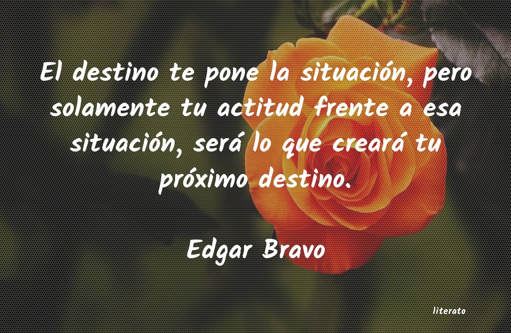 Frases de Edgar Bravo