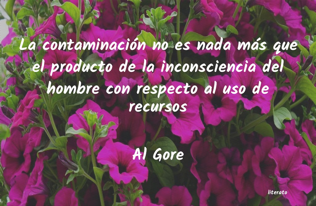 Frases de Al Gore