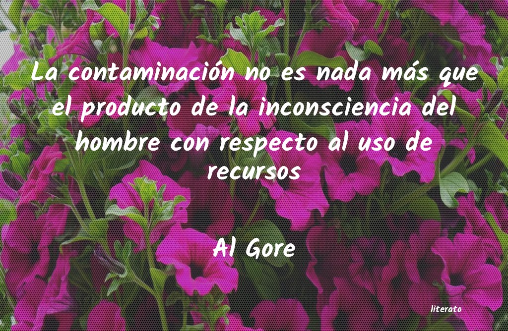 frases de Al Gore