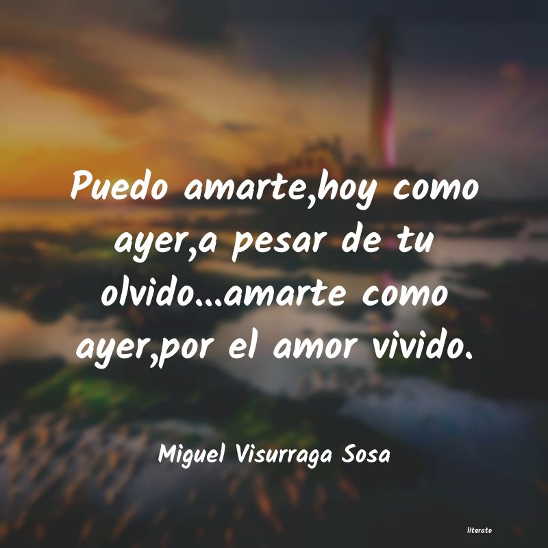 frases de Miguel Visurraga Sosa