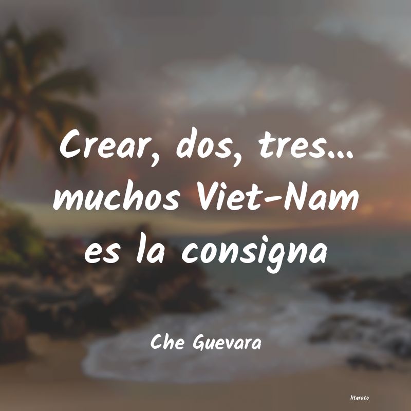 Frases de Che Guevara