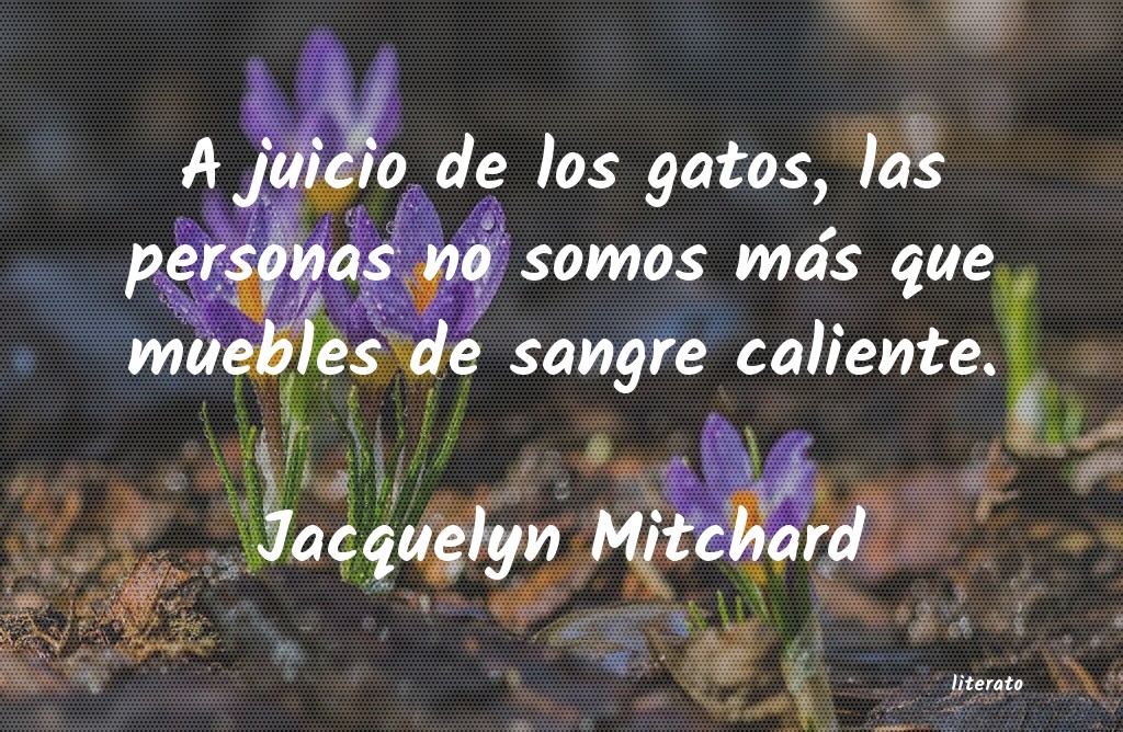 frases de Jacquelyn Mitchard