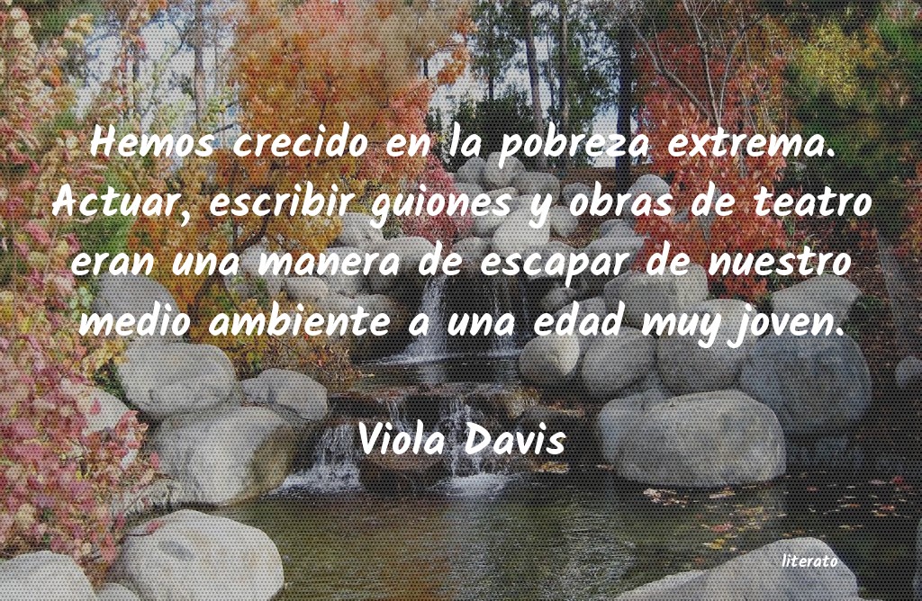 Frases de Viola Davis
