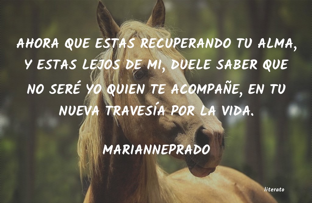 Frases de MARIANNEPRADO