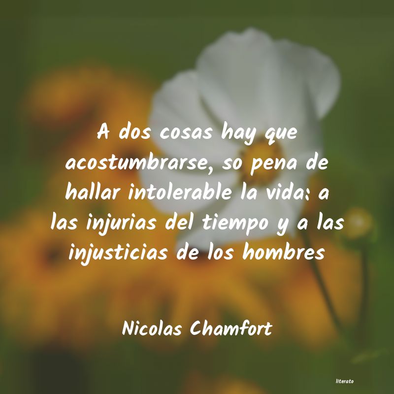 Frases de Nicolas Chamfort