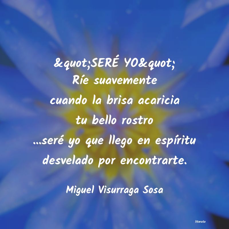 Frases de Miguel Visurraga Sosa