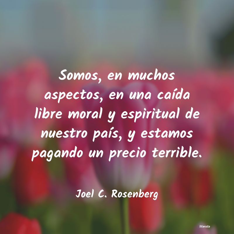 Frases de Joel C. Rosenberg