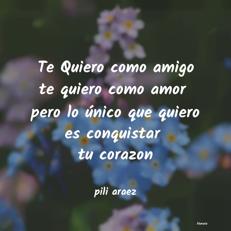 frases de pili araez