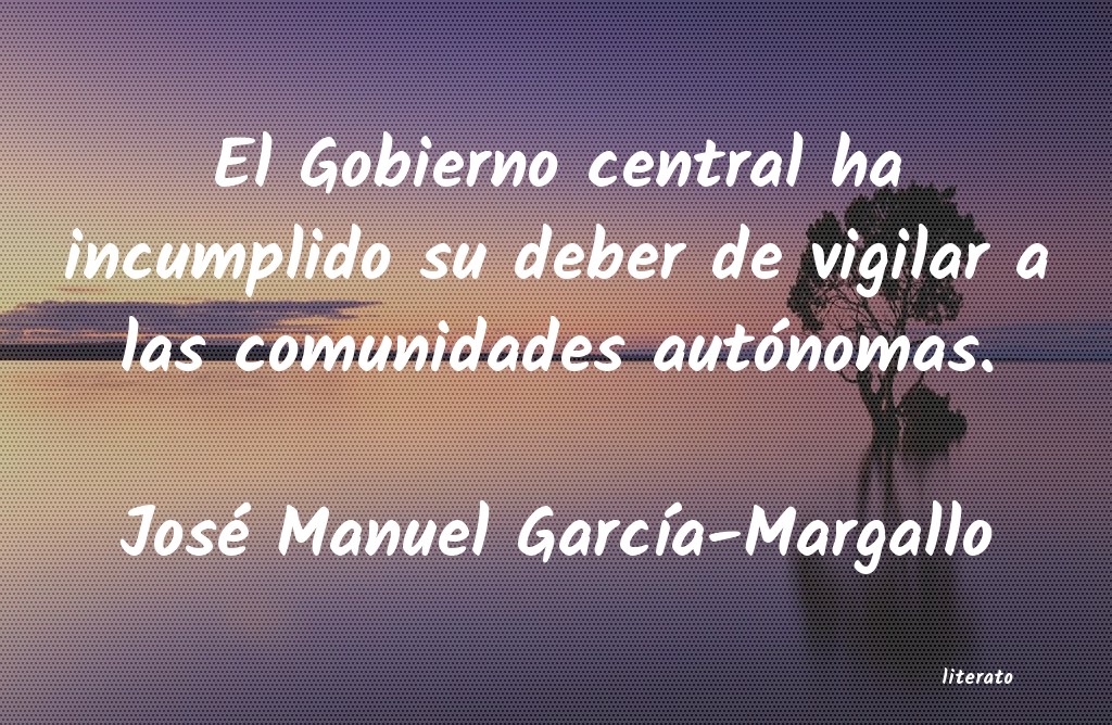Frases de José Manuel García-Margallo
