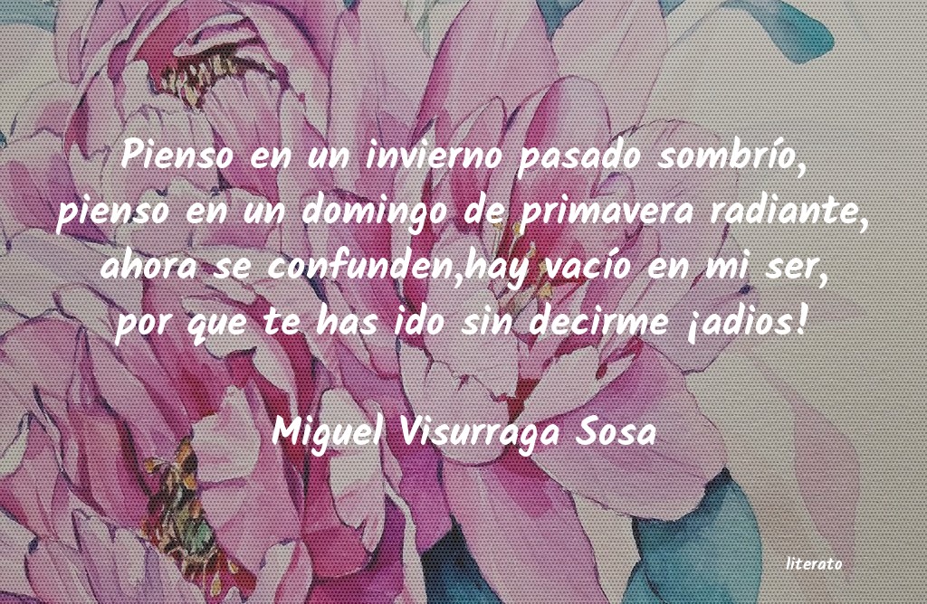 frases de Miguel Visurraga Sosa