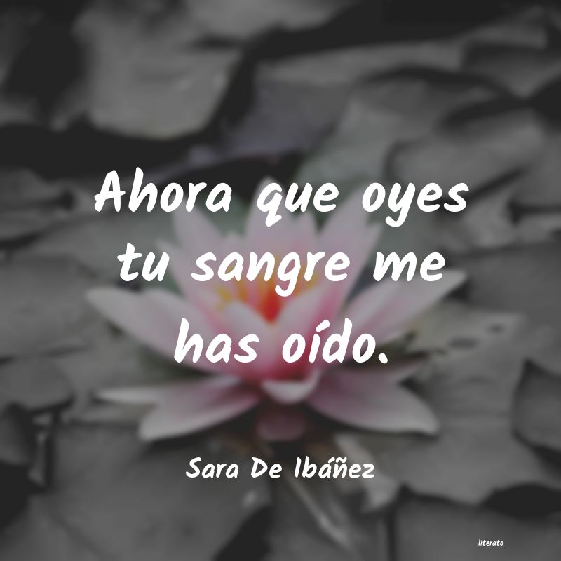 frases de Sara De Ibáñez