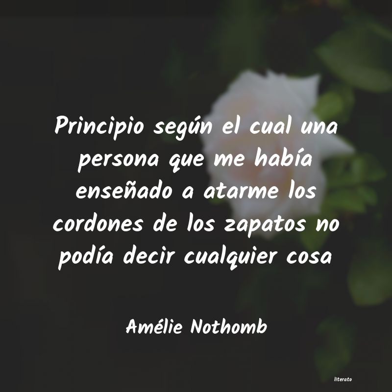 Frases de Amélie Nothomb