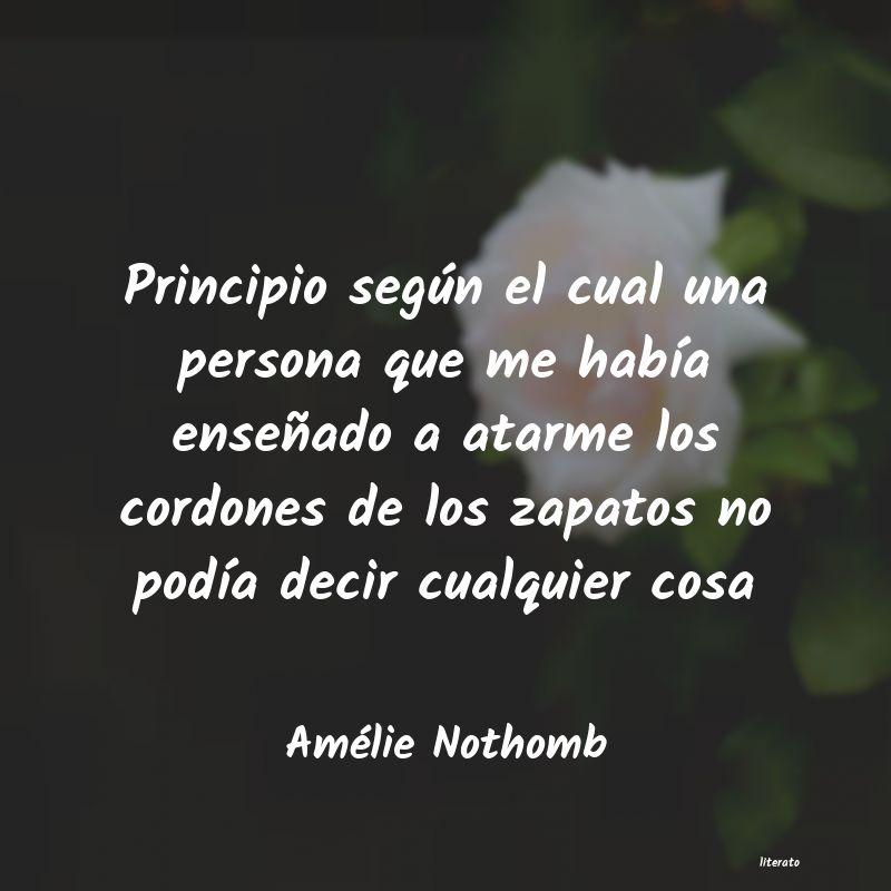 frases de Amélie Nothomb