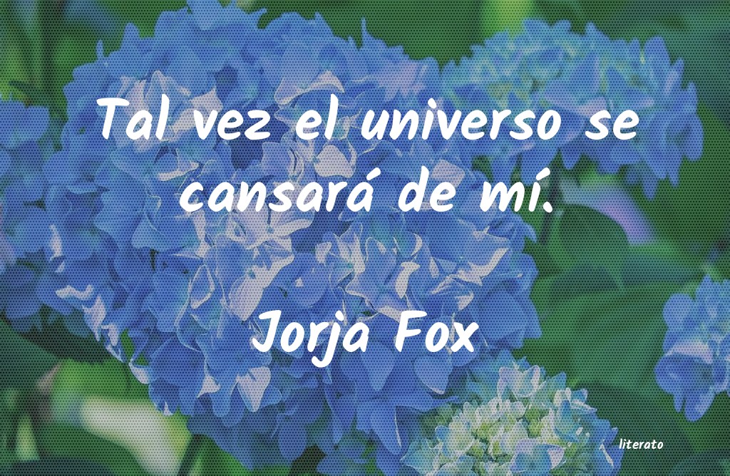 frases de Jorja Fox
