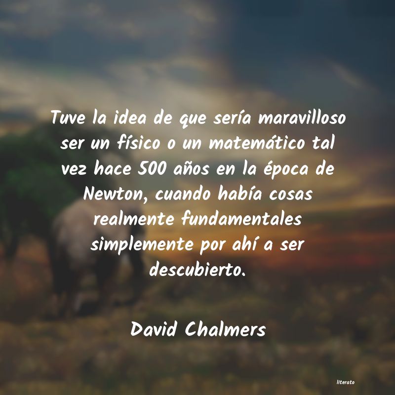 Frases de David Chalmers