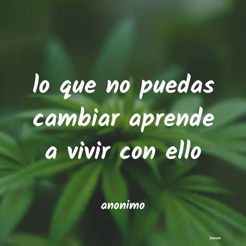 frases