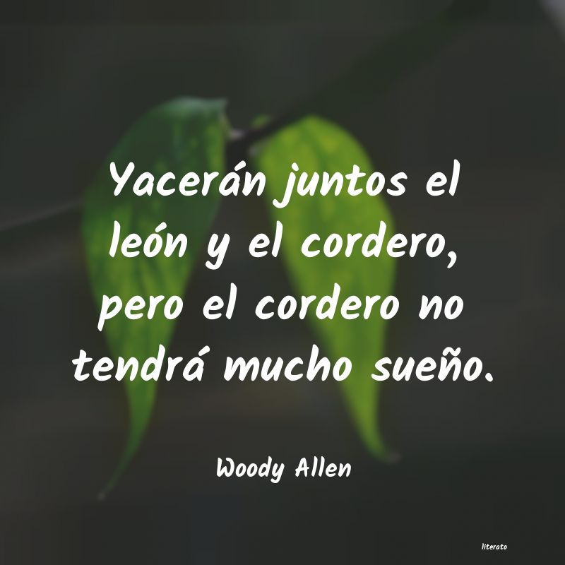 Frases de Woody Allen