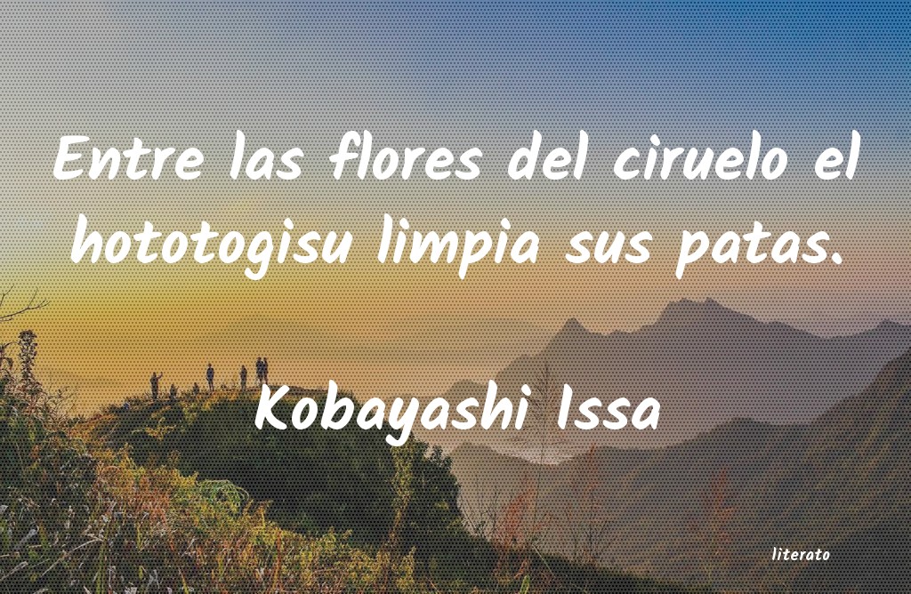 Frases de Kobayashi Issa