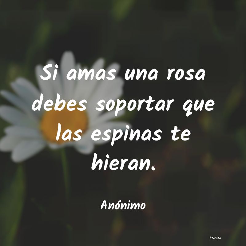 frases