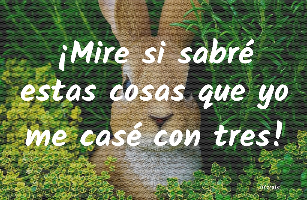 frases